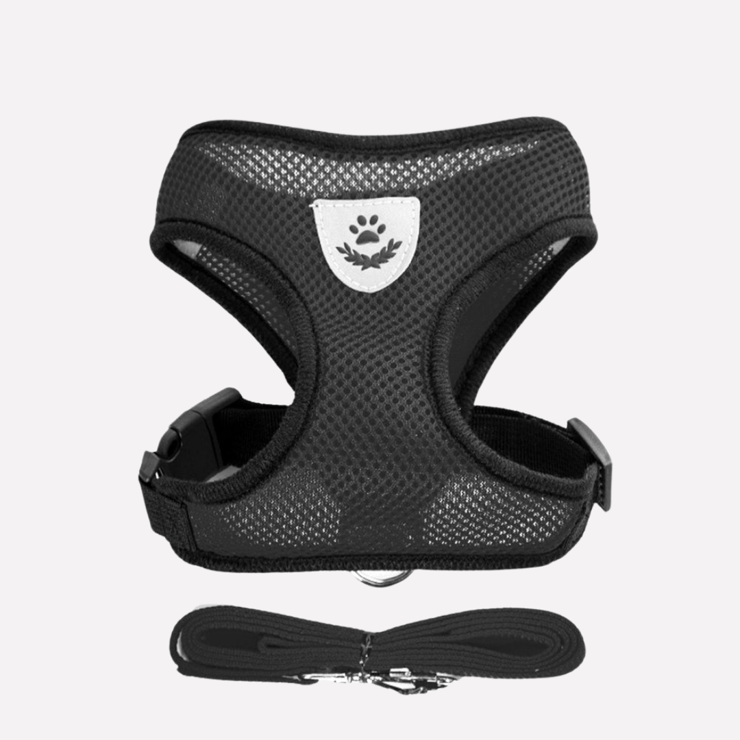 Adjustable pet vest harness and matching leash for puppies and small dogs.