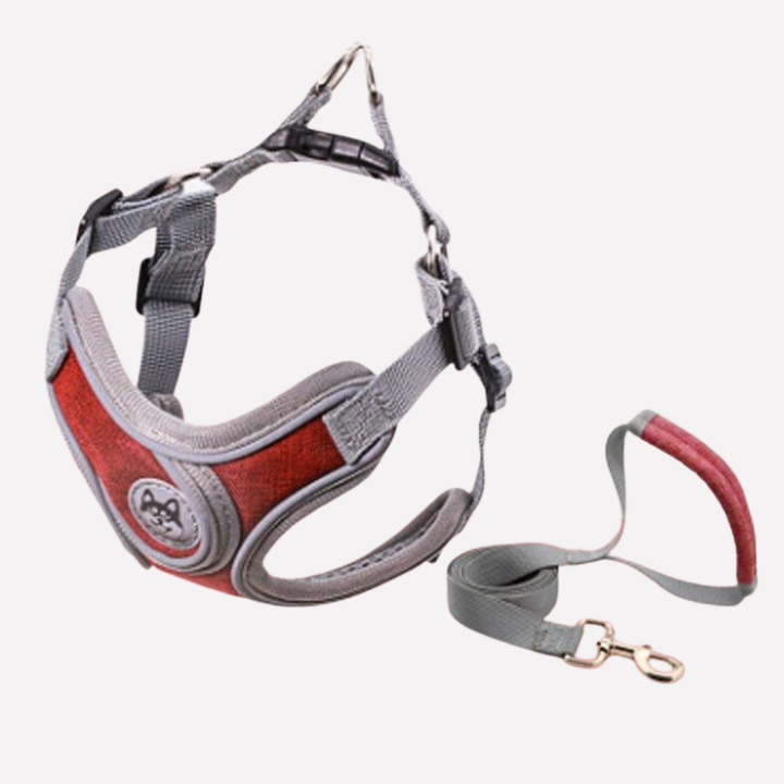 Reflective pet vest harness with matching leash for safe dog walks. Comfortable, adjustable design.