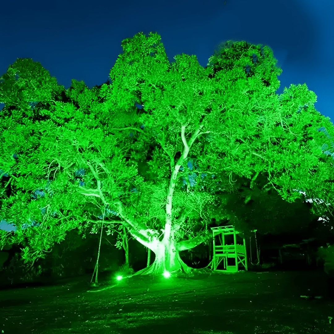Plug-in outdoor LED spotlights creating dynamic RGB and warm white landscape lighting scenes for patios & yards.