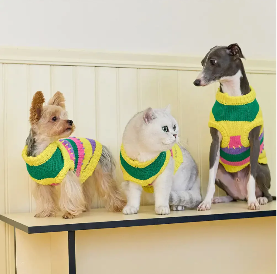 Colorful striped knit sleeveless dog jumper. Cozy pet apparel for small dogs & dachshunds. Stylish dog clothing.
