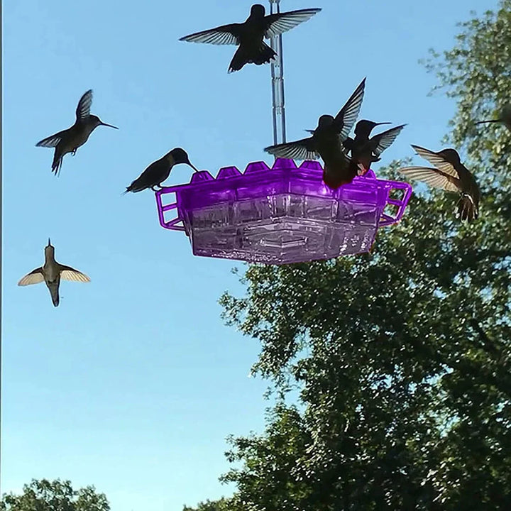 Ant-proof hummingbird feeder with perches for easy feeding, a clear nectar reservoir, and a hanging hook for garden display.