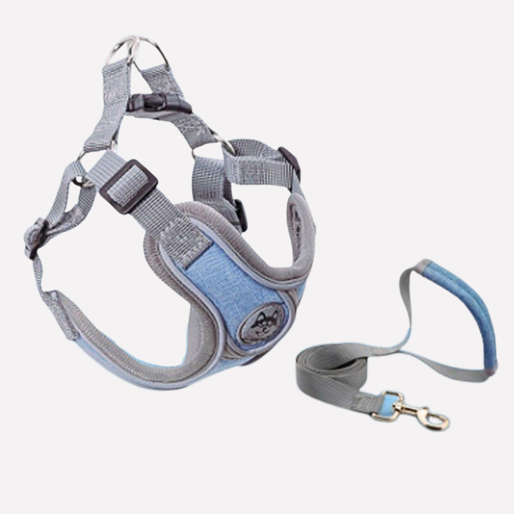 Durable dog harness and leash set, adjustable for all dog sizes. Reflective for outdoor safety.