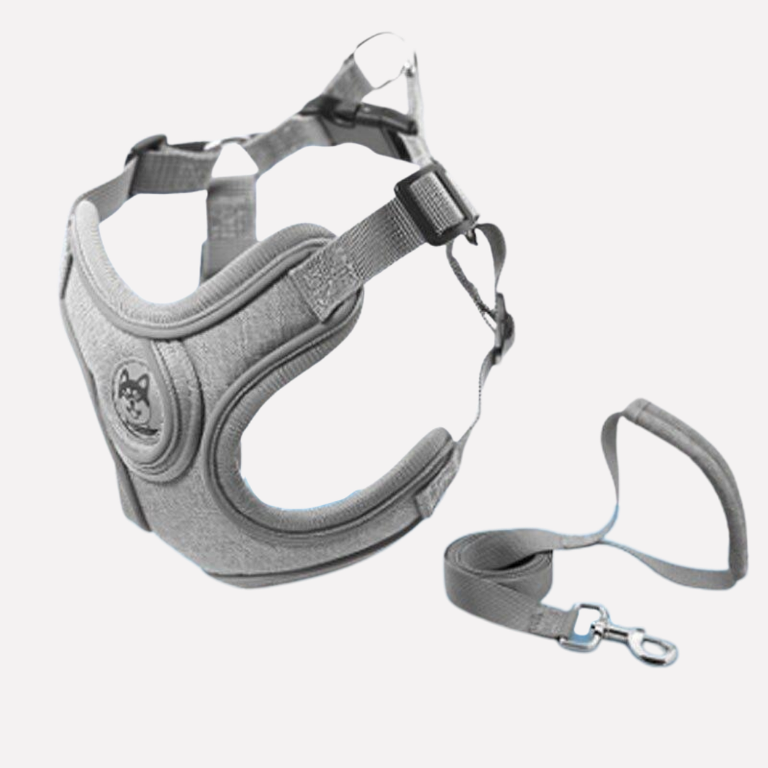 Comfortable, adjustable dog harness & leash set. Reflective pet vest for safe outdoor adventures.