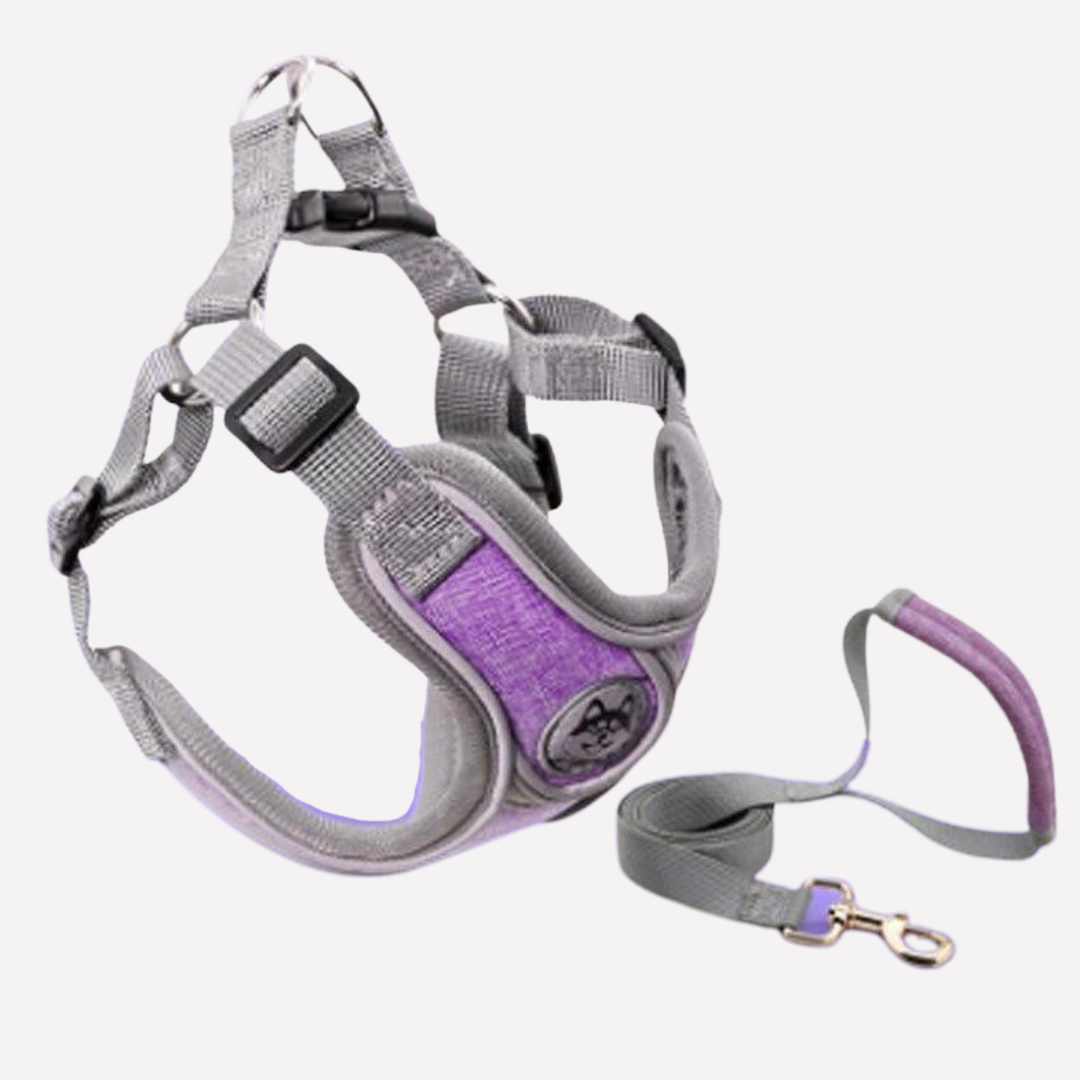 Reflective dog walking gear: adjustable pet vest harness and leash set. Perfect for daily walks.