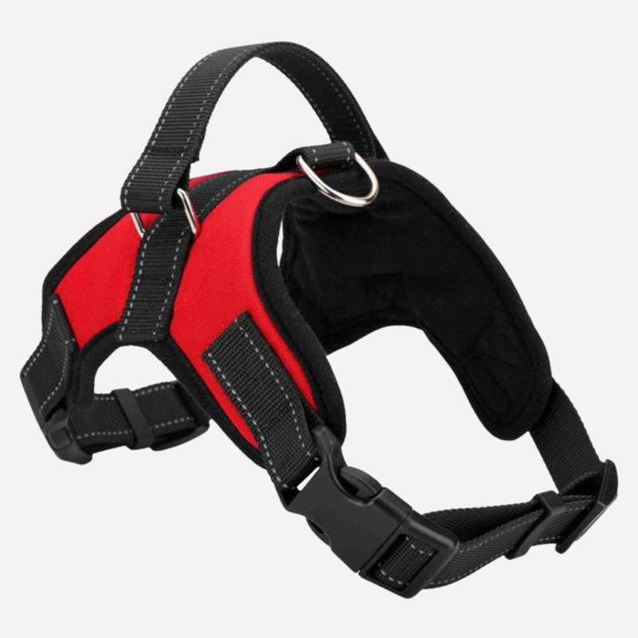 Front view of an adjustable comfort dog harness & matching pet leash. Ideal pet gear for safe and enjoyable dog walks.