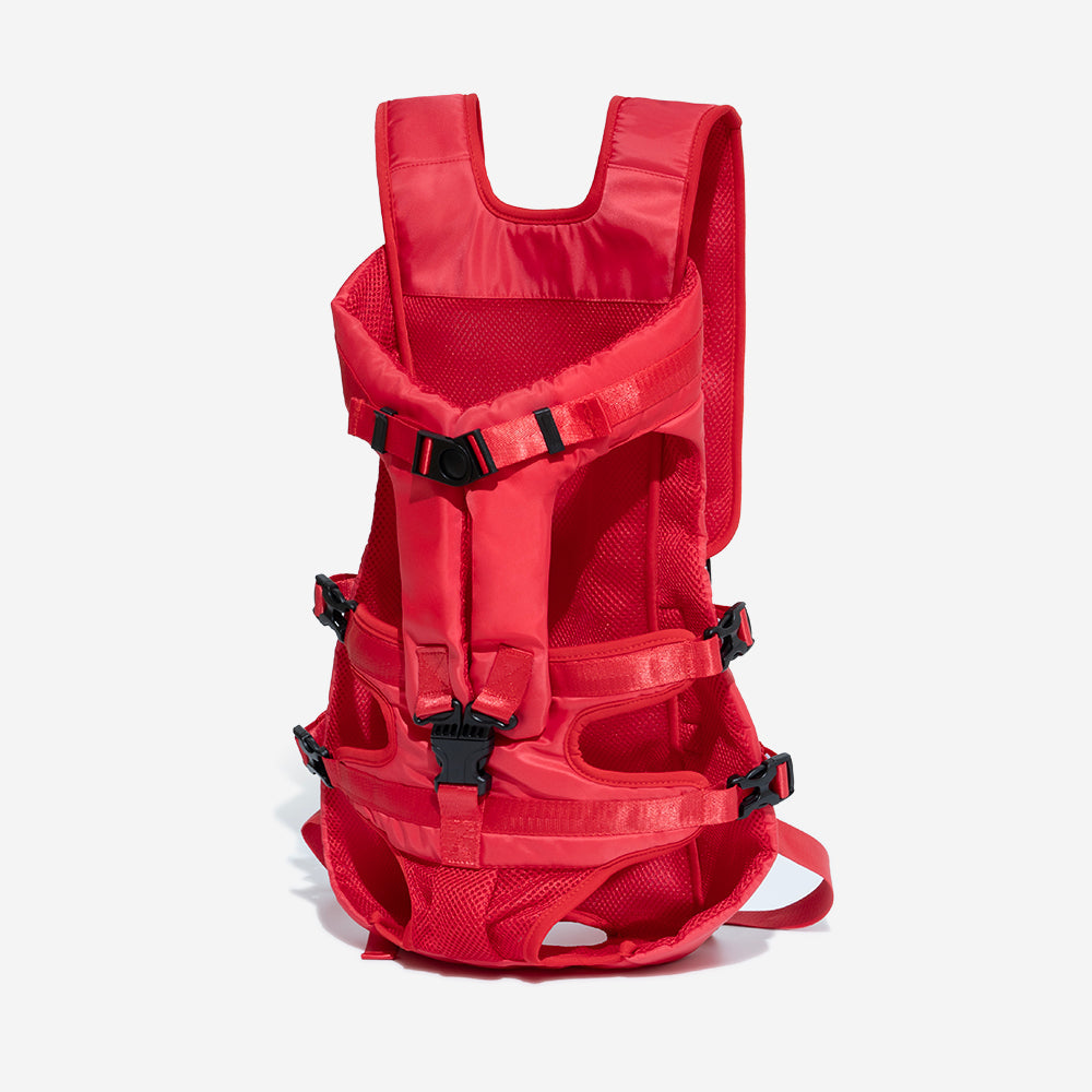 Lightweight small dog carrier backpack with secure closures & ventilation, ideal for city outings & pet adventures.
