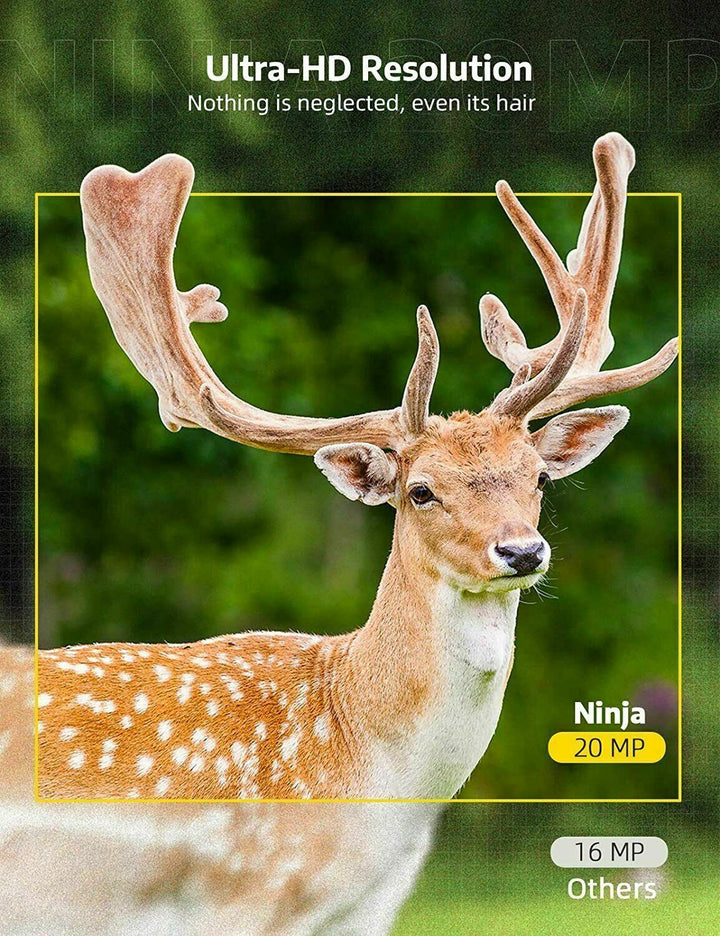 Versatile wildlife scouting camera, waterproof, with powerful night vision for 24/7 outdoor monitoring.