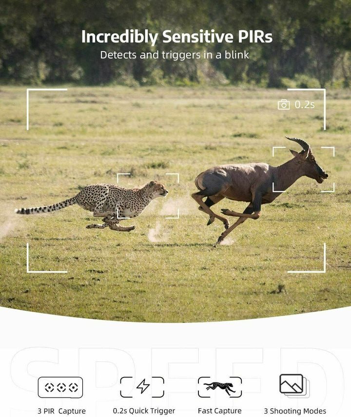 Rugged hunting camera with 1080p HD video and motion-activated recording for detailed game scouting.