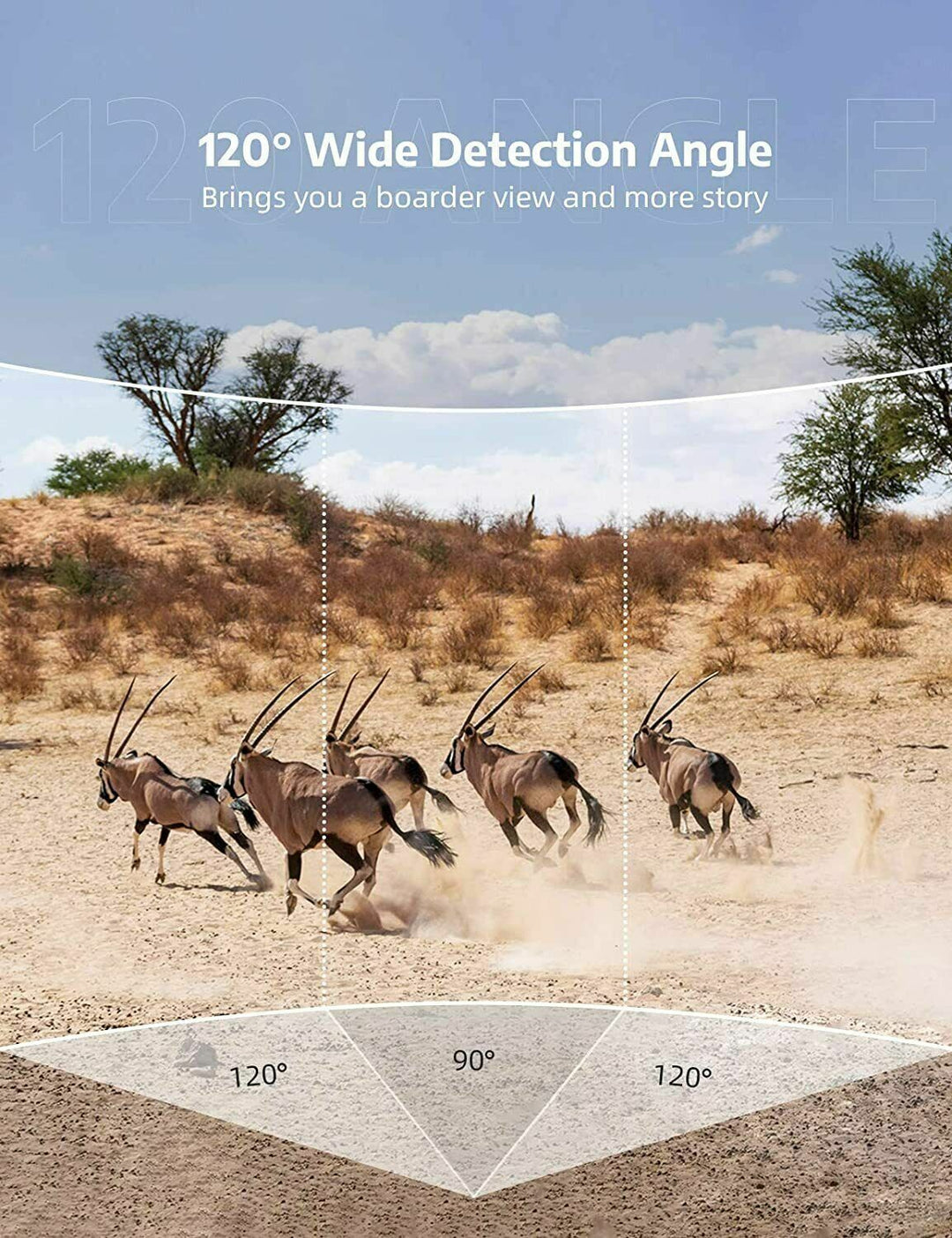 Outdoor HD trail camera with advanced night vision for wildlife observation & security. Durable & discreet.