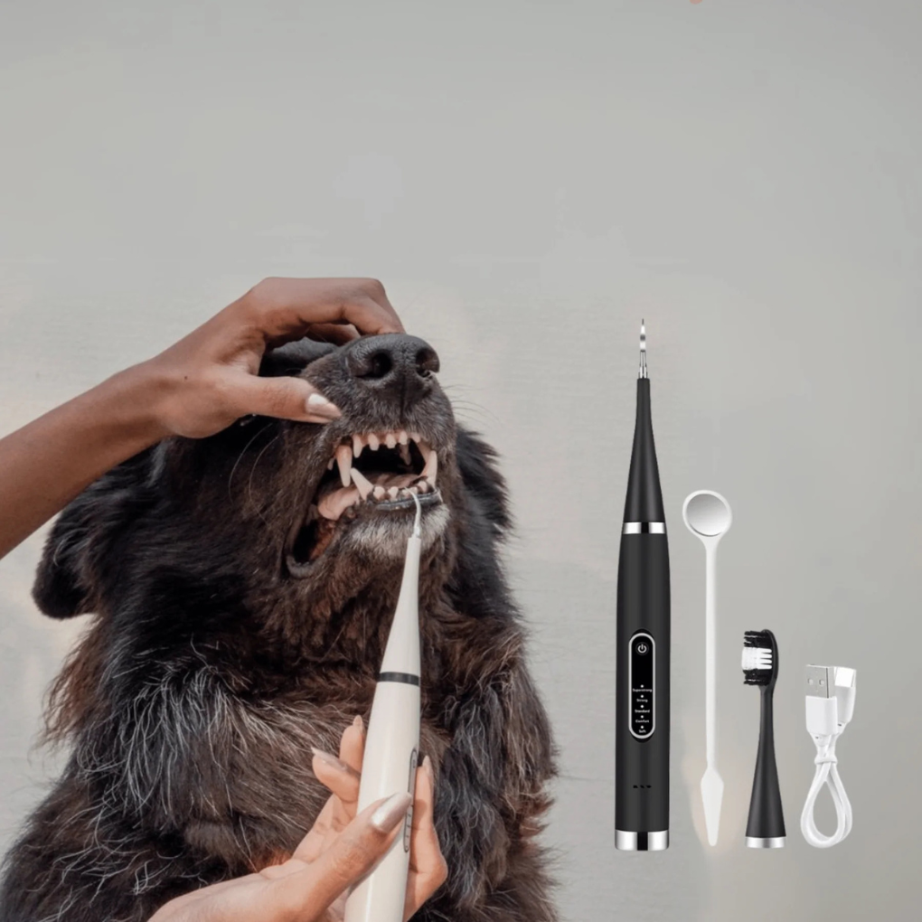 Dog & cat paw cleaner with soft silicone bristles, ideal for gentle grooming and removing mud & dirt effectively.