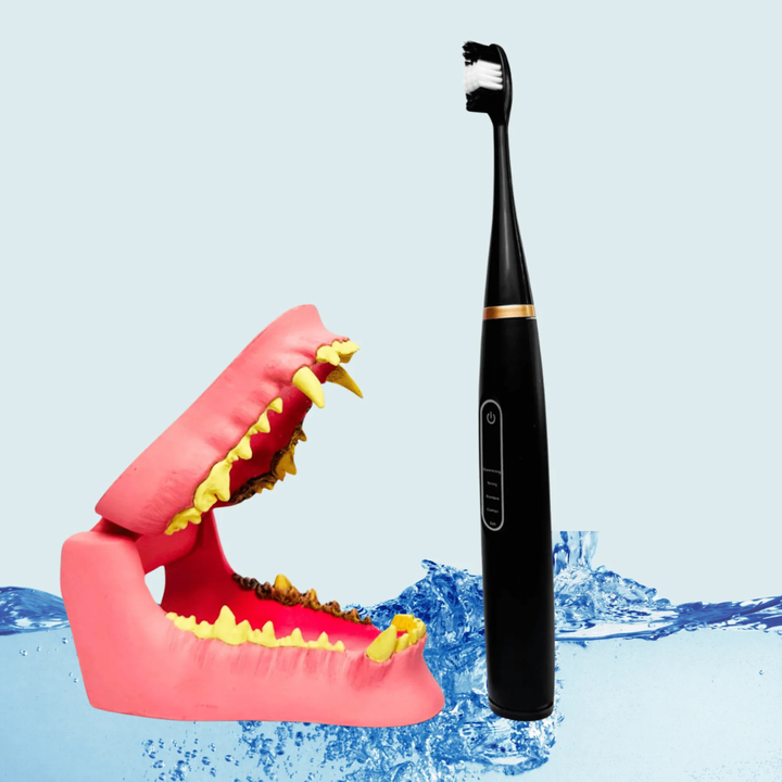 Gentle pet paw cleaner brush for dogs & cats. Features soft silicone bristles for effective dirt removal & pet care.