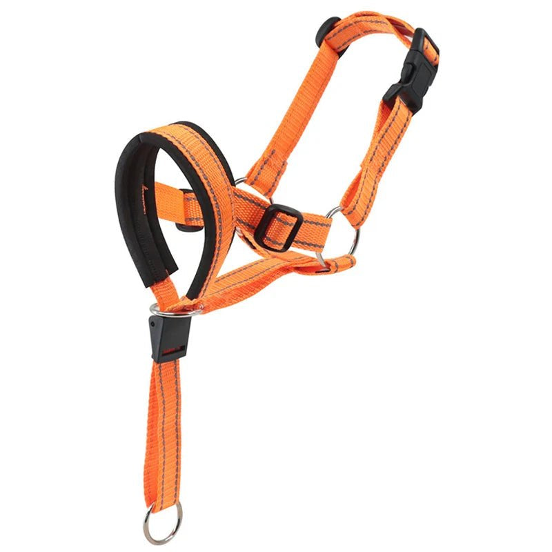 Dog wearing a comfortable, breathable training muzzle, showing secure fit for pet control