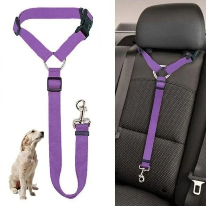 Close-up of durable nylon dog car harness with metal buckle, ensuring pet safety in vehicle