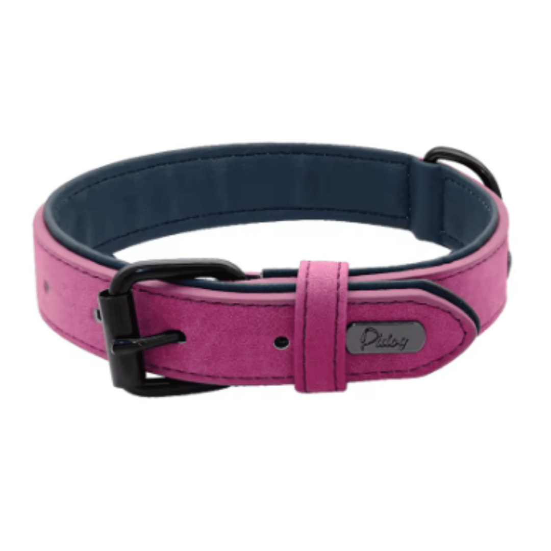 Hand holding adjustable leather dog collar to show size and quality, for big dogs