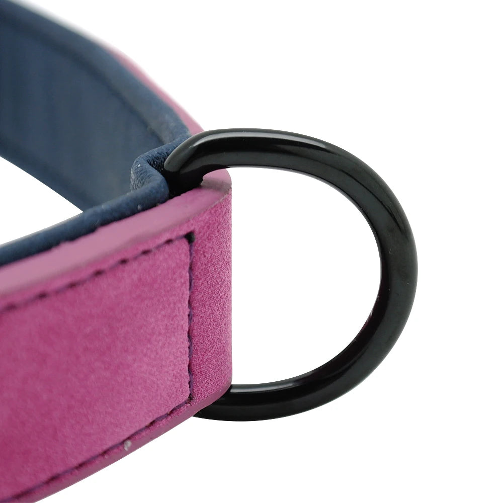Close-up of adjustable leather dog collar showing stitching and metal hardware, large breed