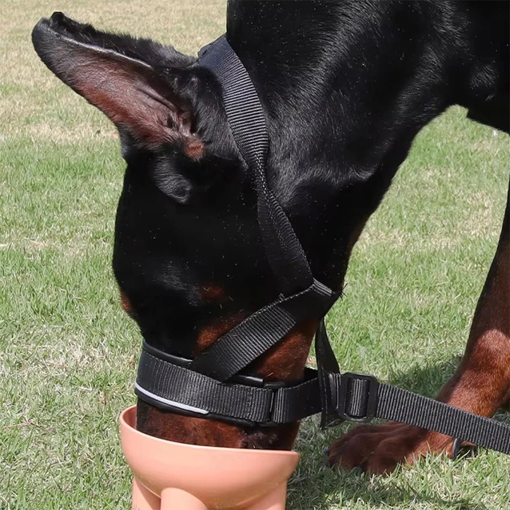 Durable leather dog muzzle with adjustable straps for secure fit on pets