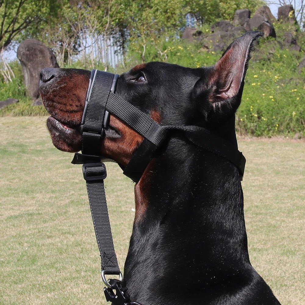Adjustable brown leather dog muzzle for training, walking & anti-barking. Durable pet safety.