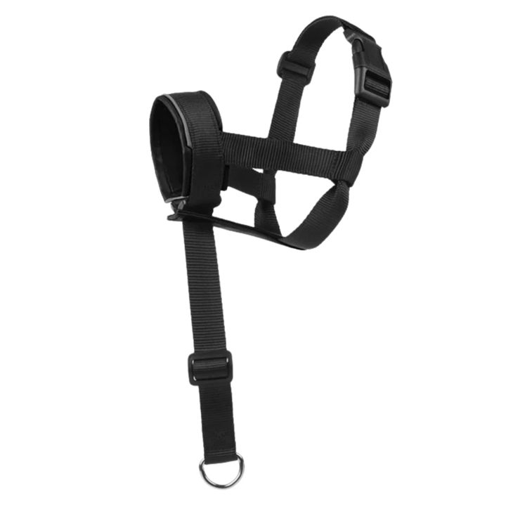 Reflective leather dog muzzle for walking safety, pet training aid & anti-bark control.