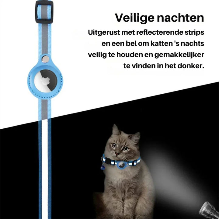 Reflective adjustable cat collar with quick release buckle in low light