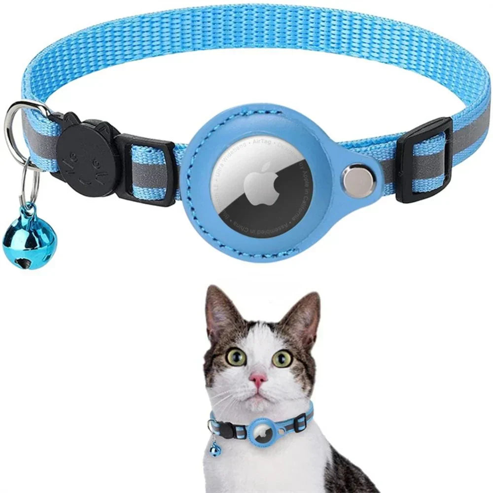 Blue cat safety collar on a kitten, highlighting adjustable fit and quick release