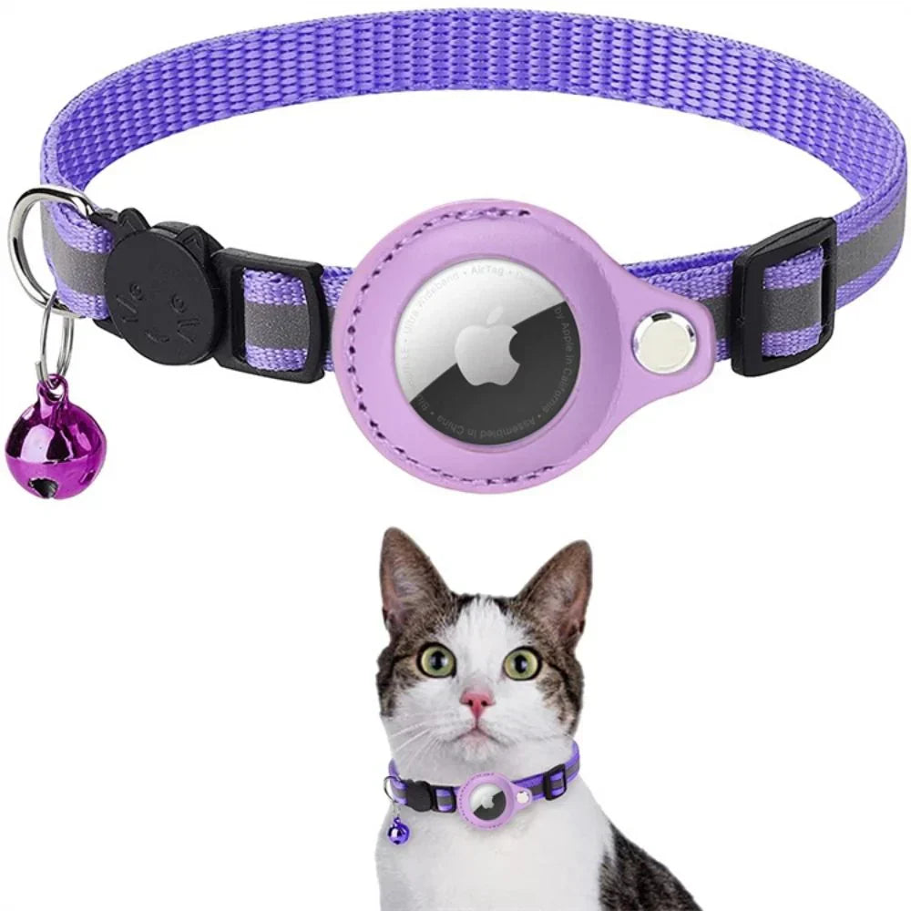 A cat playfully wearing an adjustable green safety collar with a prominent bell