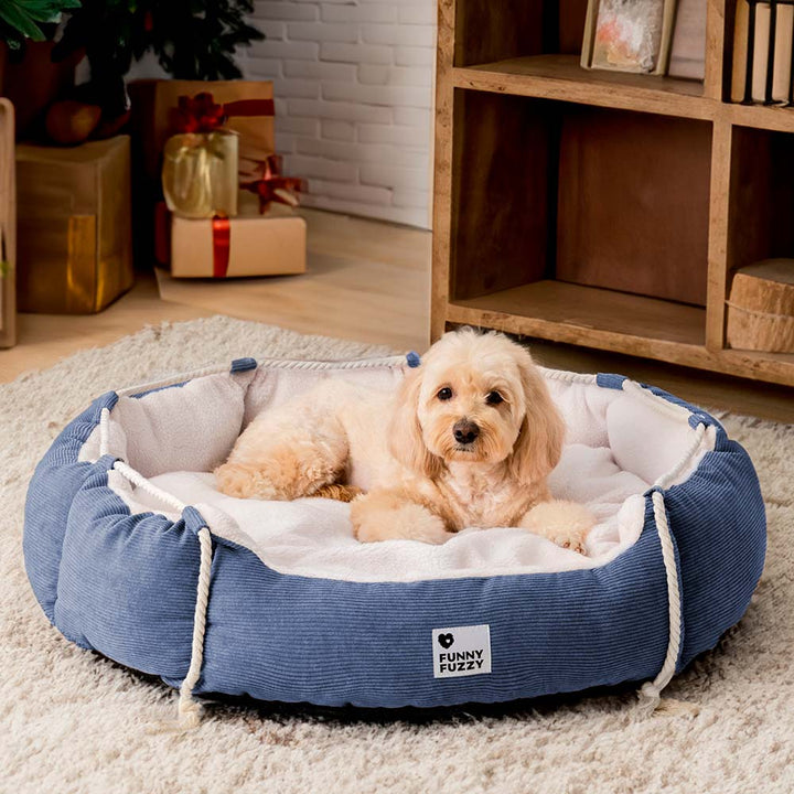 Stylish chew-resistant cat bed, adjustable for optimal pet comfort