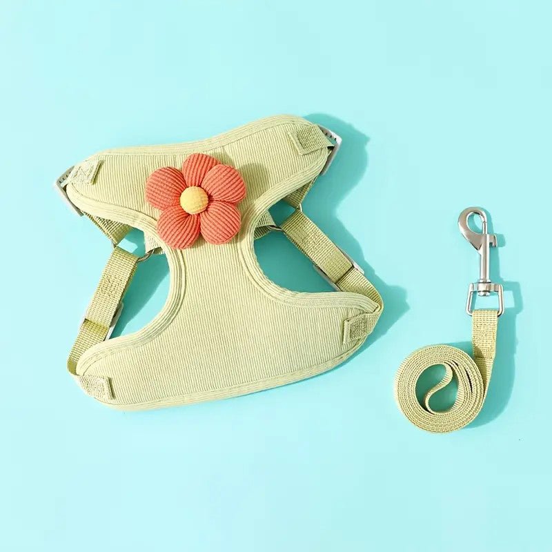 Adjustable no-pull dog harness and leash set with black breathable mesh, front & back clips