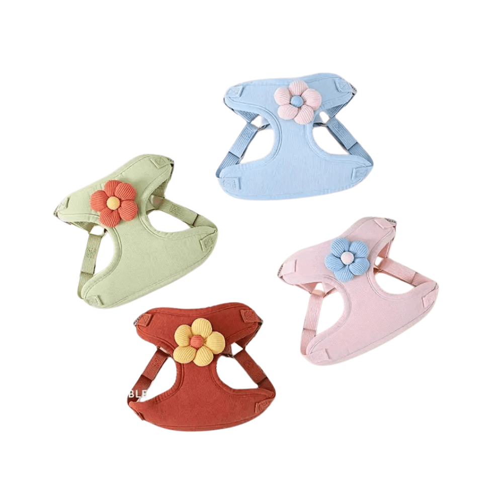 Comfortable black dog harness with reflective straps, adjustable fit and matching leash for walking