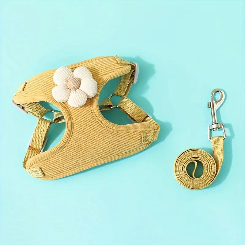 Versatile black dog harness and leash set, perfect for pet walking and training, with secure clips