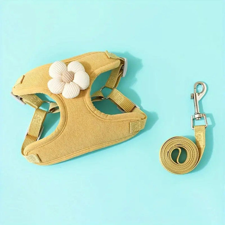 Versatile black dog harness and leash set, perfect for pet walking and training, with secure clips