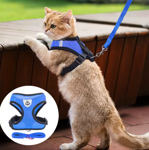 Adjustable pink cat harness with matching leash for comfortable pet walking, outdoor kitten gear.