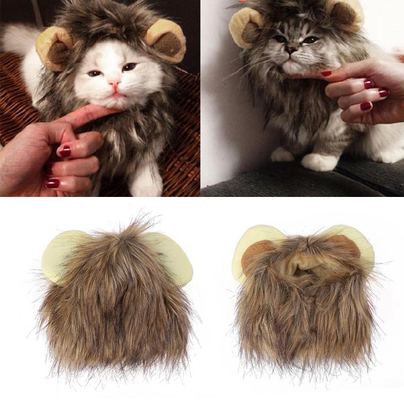 Adorable cat in a realistic lion mane costume, perfect for funny pet dress-up and photo ops.