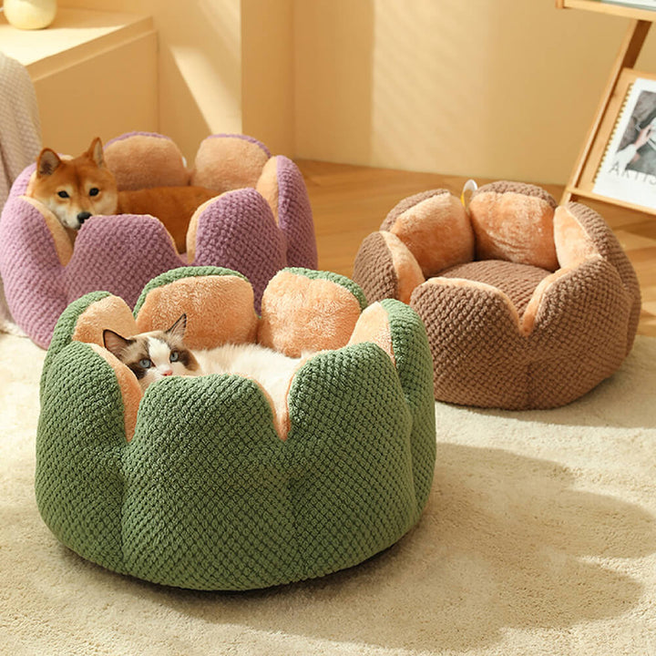 Adorable green cactus shape pet bed, cozy and washable for cats and small dogs, comfy animal bed