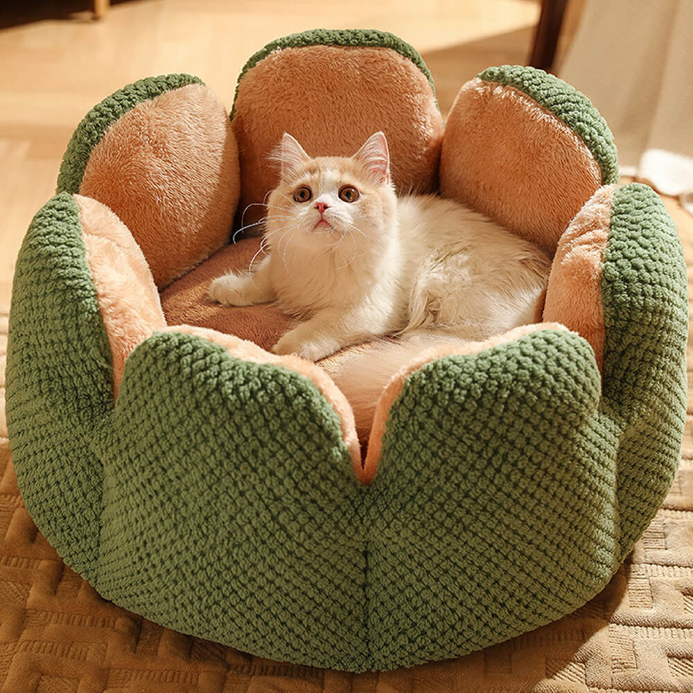 Stylish cactus pet bed with soft cushion, ideal comfy pet bed for cats and small dog breeds