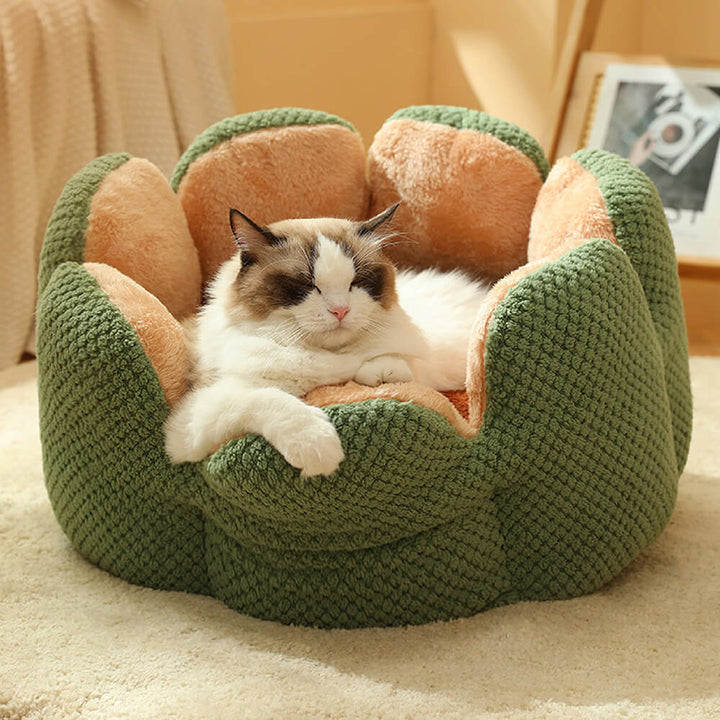 Green cactus pet bed with a cat napping inside, showing it's a cozy and comfy animal bed