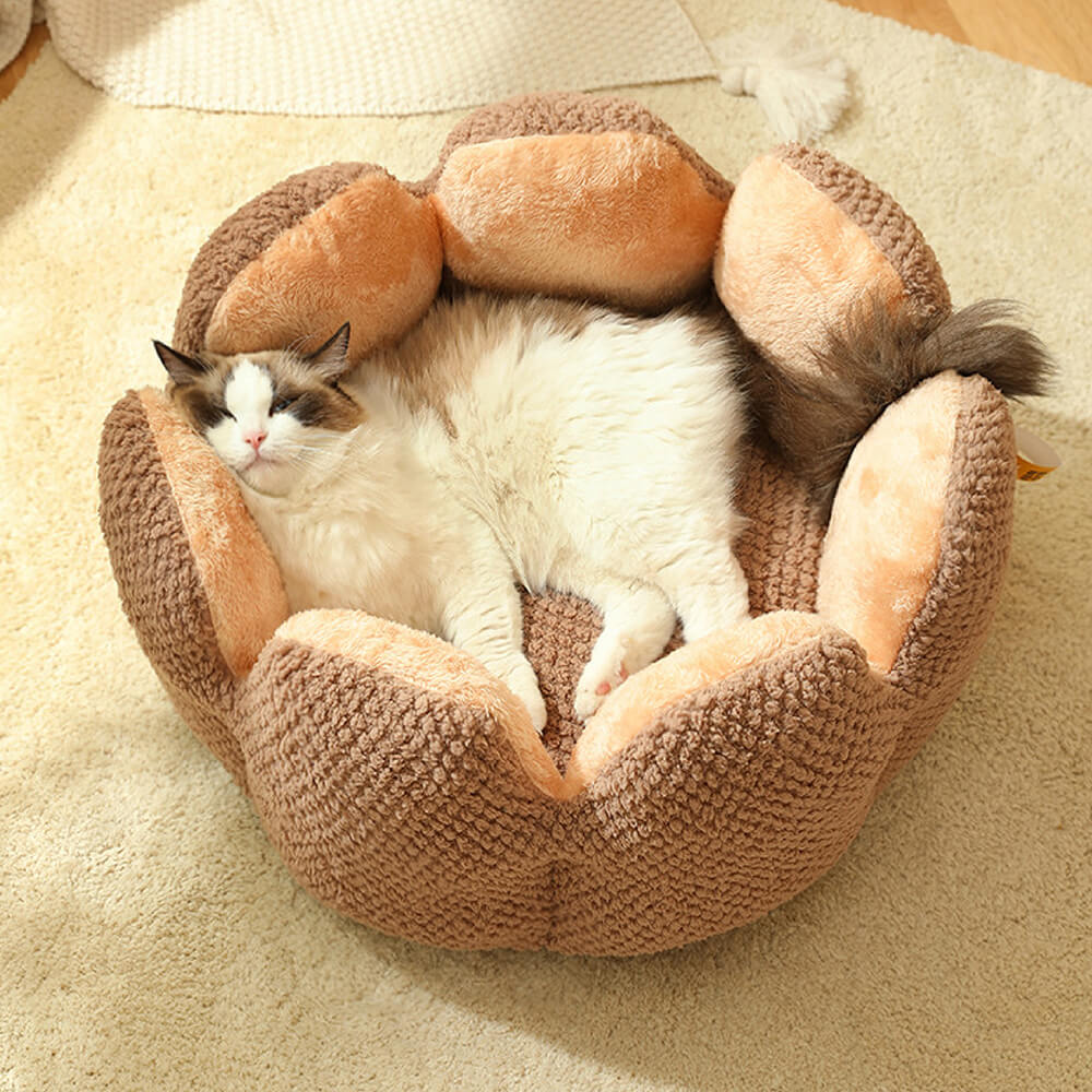 Dog comfortably resting in a cactus shape pet bed, highlighting its use as a comfy dog bed