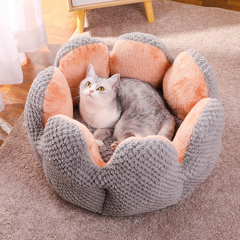 Cute cactus pet bed, a perfect washable pet bed solution for cat beds and small dog beds