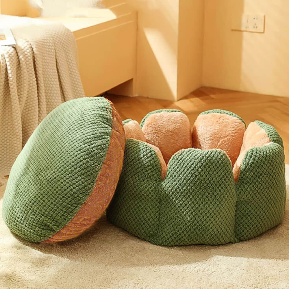 Overhead shot of a cactus shape pet bed, a modern and comfy pet bed for cats and dogs