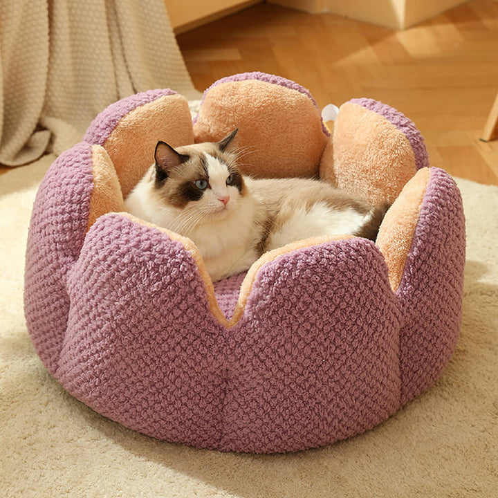 Cactus bed in a living room setting, showcasing a stylish and cozy pet bed for animal relaxation