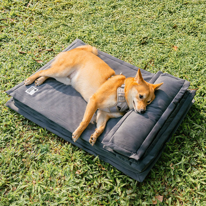 Plush pet calming bed, deep sleep and orthopedic support for reduced anxiety.