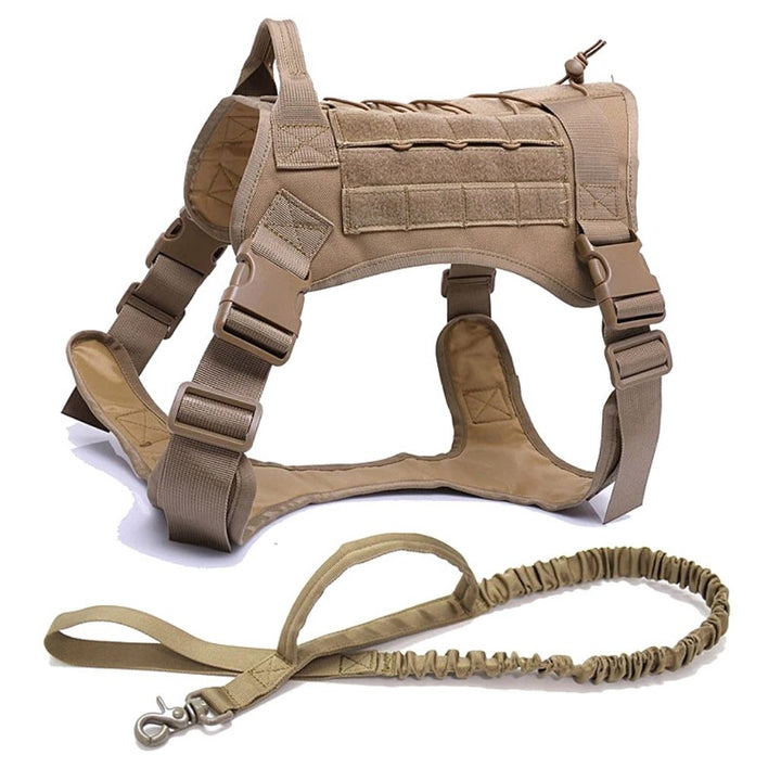 Back view of durable tactical dog harness, showing reinforced stitching and handle