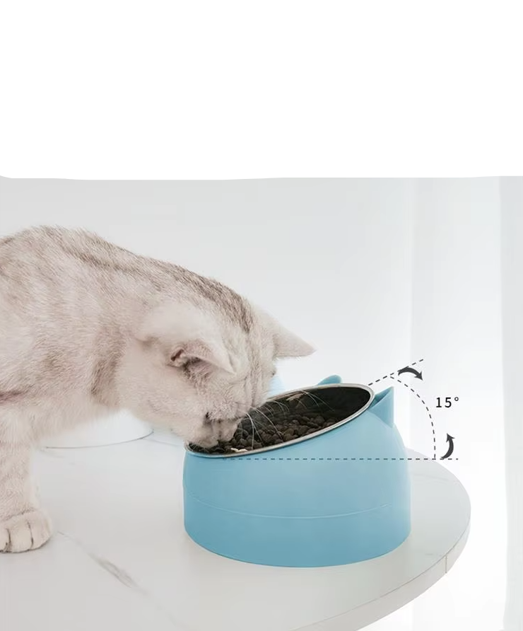 Blue ergonomic pet feeding bowl with 15-degree tilt, perfect for neck-friendly cat feeding.