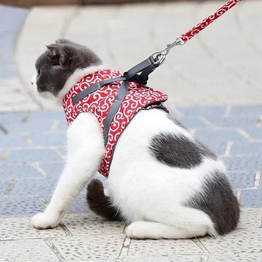 Breathable mesh cat harness and leash set in blue, perfect for outdoor walks with your feline friend.