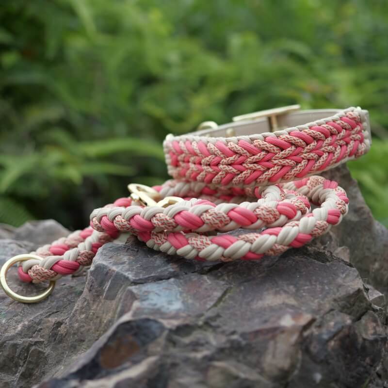 Multifunctional pet leash that converts, paired with a leather anti-pull collar