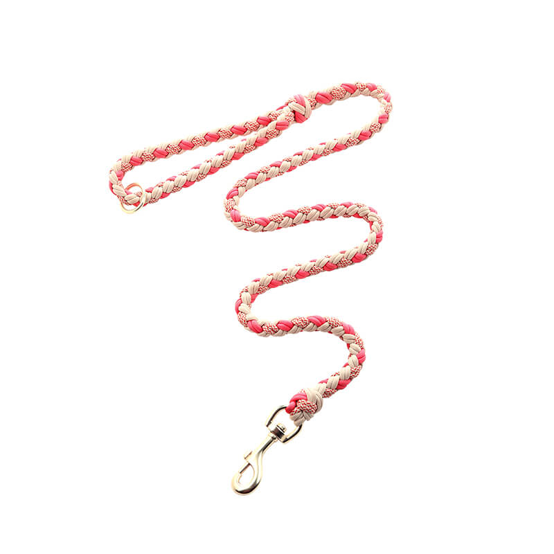 Versatile anti-pull dog leash and collar crafted from genuine leather