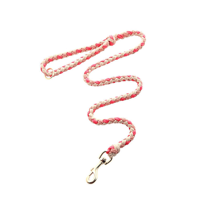 Versatile anti-pull dog leash and collar crafted from genuine leather