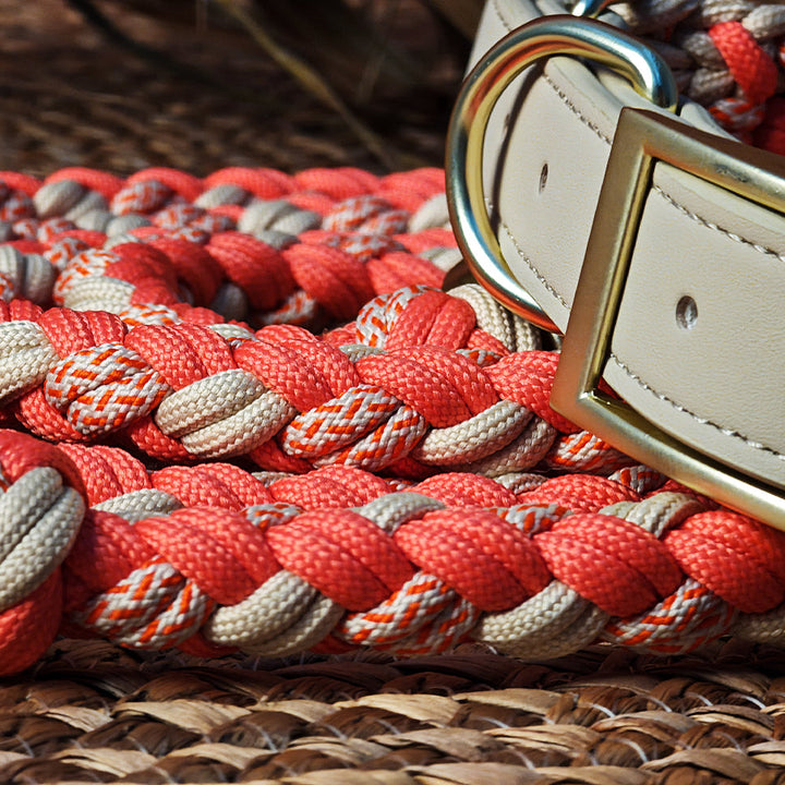 Dog walking set: genuine leather collar and multi-functional rope leash