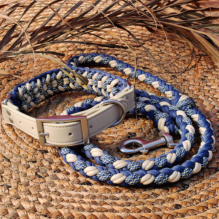 Pet accessories: durable anti-pull dog collar and leash combo in leather