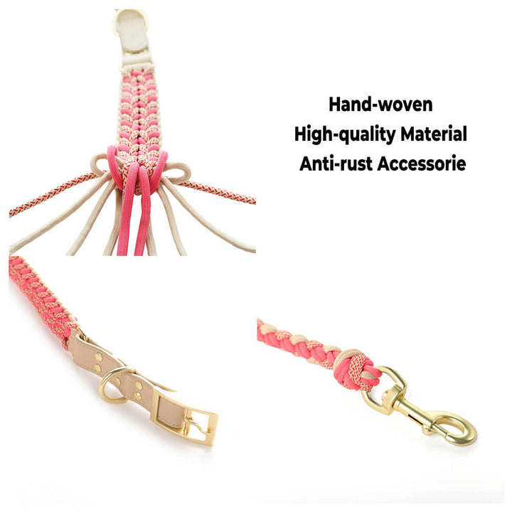 Hemp rope dog leash with leather details, paired with an anti-pull collar