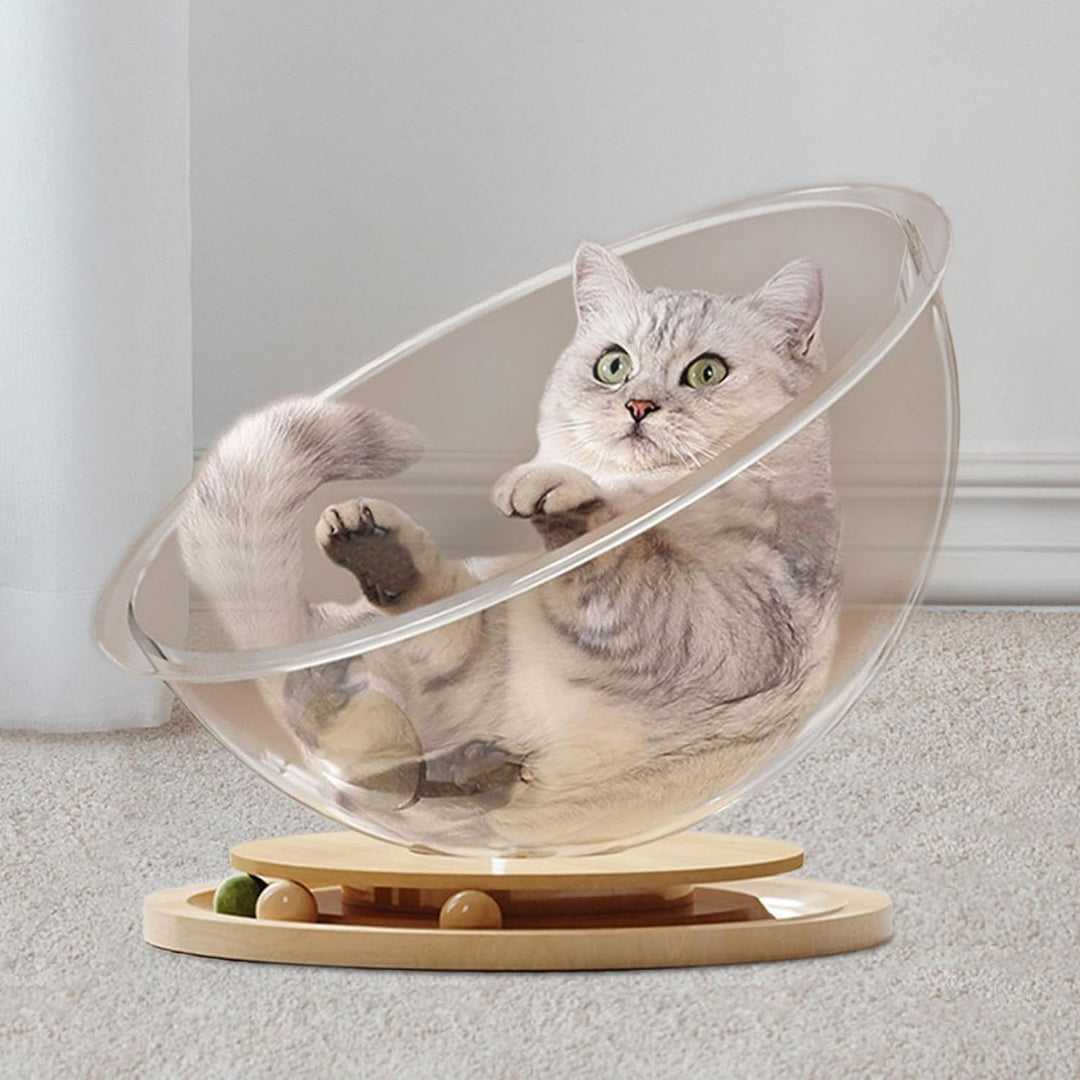 Interactive cat toy sphere, a pet accessory with built-in play station, scratcher, and comfort bed